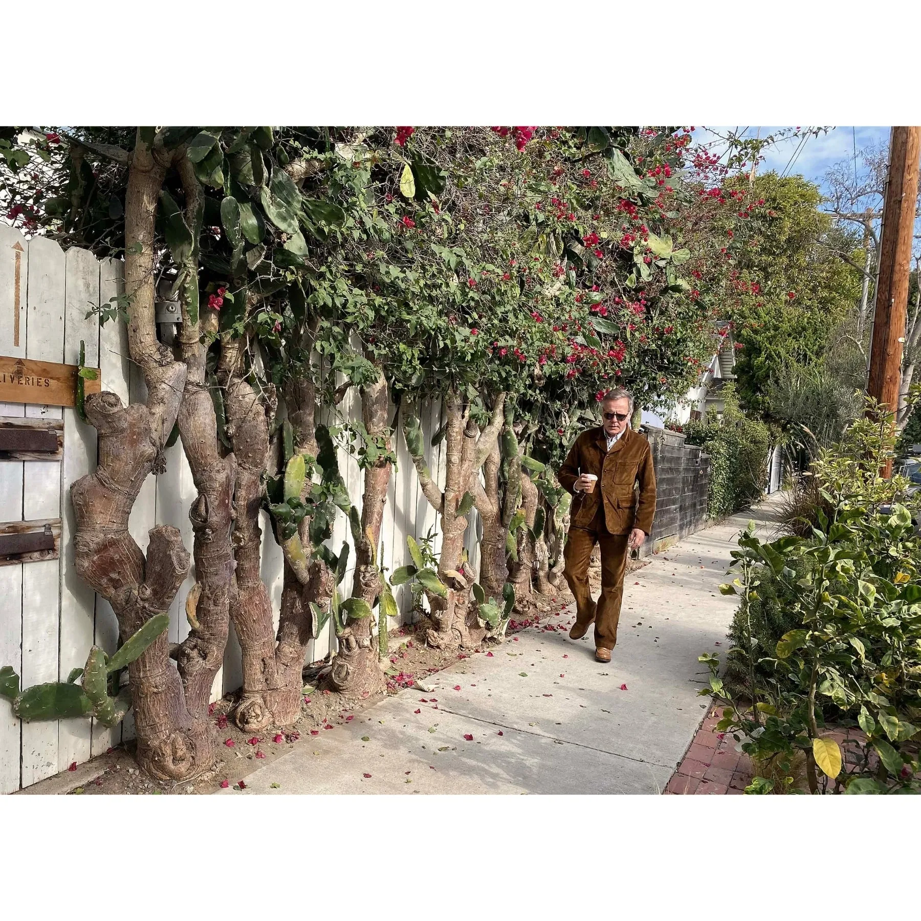 Continental Sportcoat - “Rive Gauche”