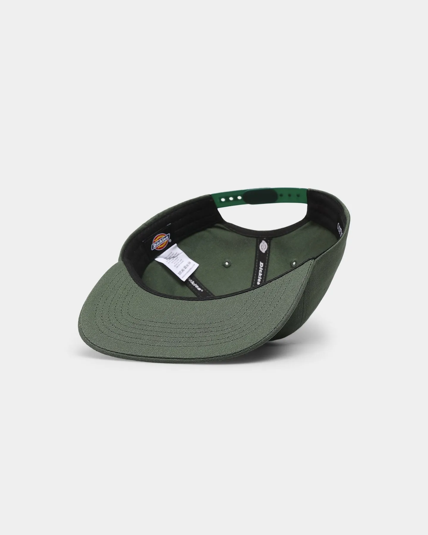 Dickies Princeton Snapback Green